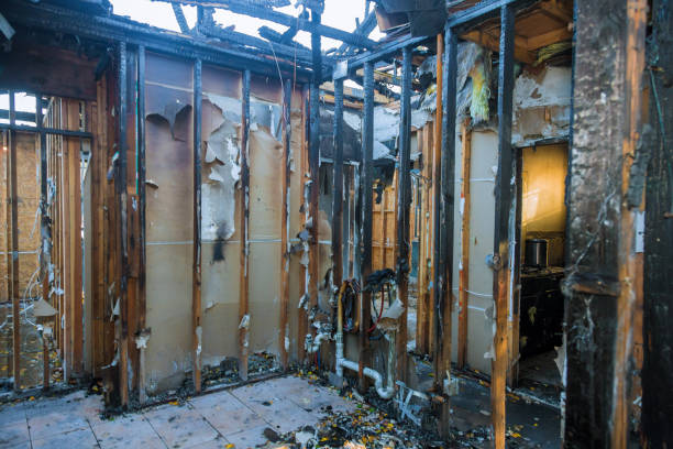 Professional Fire Damage Repair technician working in Pell City, AL